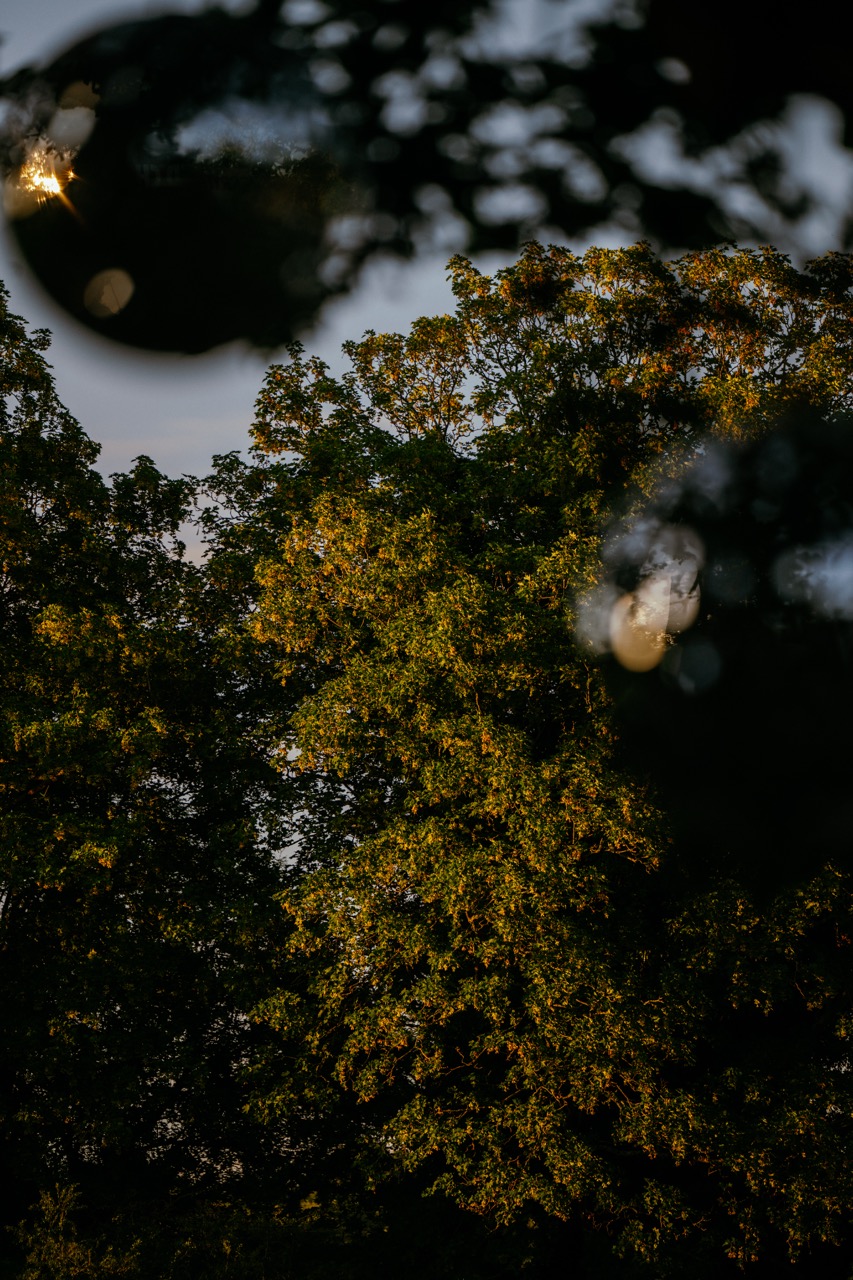 The Kooks 20 Years of Inside In / Inside Out at Tofte Manor